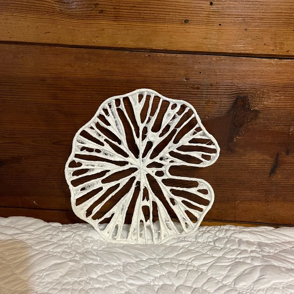 New Anthropologie Sand Dollar Paper Wall Hangings, Set of 3 - Picture 8 of 10